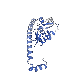 29253_8fkq_L7_v1-1
Human nucleolar pre-60S ribosomal subunit (State A2)