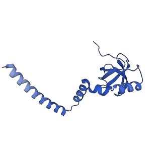 29253_8fkq_L8_v1-1
Human nucleolar pre-60S ribosomal subunit (State A2)