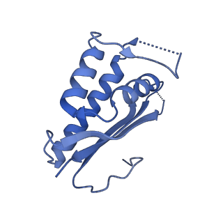 29253_8fkq_LA_v1-1
Human nucleolar pre-60S ribosomal subunit (State A2)