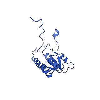 29253_8fkq_LB_v1-1
Human nucleolar pre-60S ribosomal subunit (State A2)