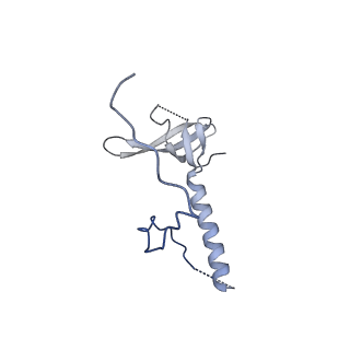 29253_8fkq_LE_v1-1
Human nucleolar pre-60S ribosomal subunit (State A2)