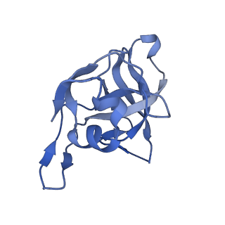 29253_8fkq_LG_v1-1
Human nucleolar pre-60S ribosomal subunit (State A2)