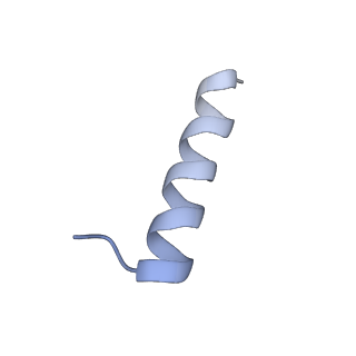 29253_8fkq_LH_v1-1
Human nucleolar pre-60S ribosomal subunit (State A2)