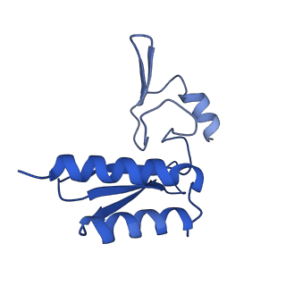 29253_8fkq_LL_v1-1
Human nucleolar pre-60S ribosomal subunit (State A2)