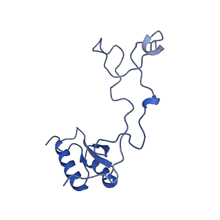 29253_8fkq_LQ_v1-1
Human nucleolar pre-60S ribosomal subunit (State A2)