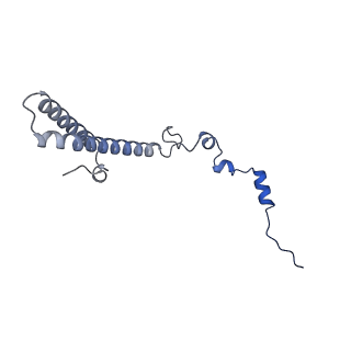 29253_8fkq_LS_v1-1
Human nucleolar pre-60S ribosomal subunit (State A2)