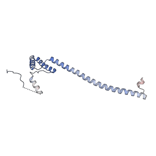 29253_8fkq_NE_v1-1
Human nucleolar pre-60S ribosomal subunit (State A2)