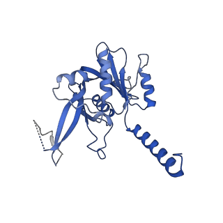 29253_8fkq_NN_v1-1
Human nucleolar pre-60S ribosomal subunit (State A2)