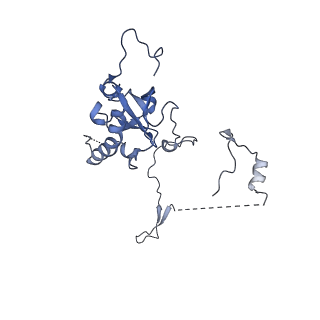 29253_8fkq_SC_v1-1
Human nucleolar pre-60S ribosomal subunit (State A2)