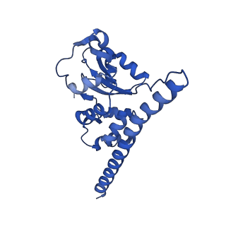 29253_8fkq_SD_v1-1
Human nucleolar pre-60S ribosomal subunit (State A2)