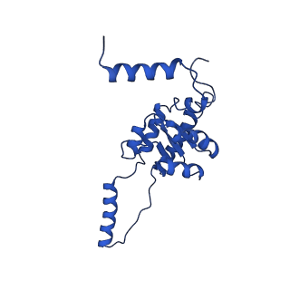 29253_8fkq_SE_v1-1
Human nucleolar pre-60S ribosomal subunit (State A2)