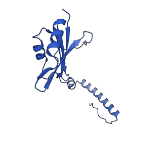 29253_8fkq_SH_v1-1
Human nucleolar pre-60S ribosomal subunit (State A2)