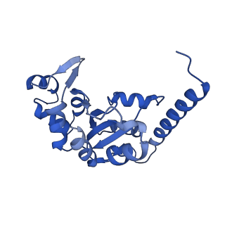 29253_8fkq_SI_v1-1
Human nucleolar pre-60S ribosomal subunit (State A2)