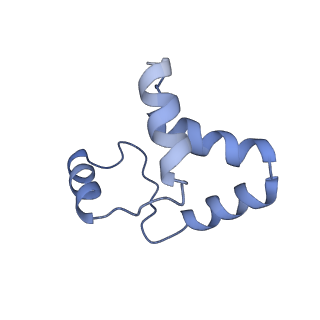 29253_8fkq_SJ_v1-1
Human nucleolar pre-60S ribosomal subunit (State A2)