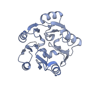 29253_8fkq_SK_v1-1
Human nucleolar pre-60S ribosomal subunit (State A2)