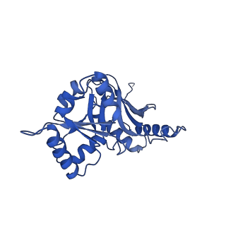 29253_8fkq_SL_v1-1
Human nucleolar pre-60S ribosomal subunit (State A2)