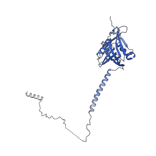 29253_8fkq_SO_v1-1
Human nucleolar pre-60S ribosomal subunit (State A2)