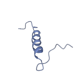 29253_8fkq_ST_v1-1
Human nucleolar pre-60S ribosomal subunit (State A2)