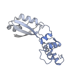 29254_8fkr_BA_v1-1
Human nucleolar pre-60S ribosomal subunit (State B1)