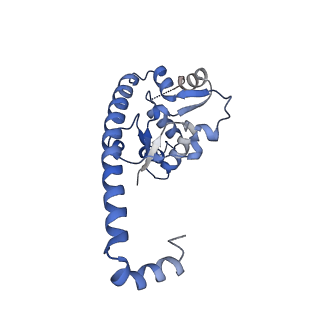 29254_8fkr_L7_v1-1
Human nucleolar pre-60S ribosomal subunit (State B1)