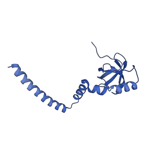 29254_8fkr_L8_v1-1
Human nucleolar pre-60S ribosomal subunit (State B1)