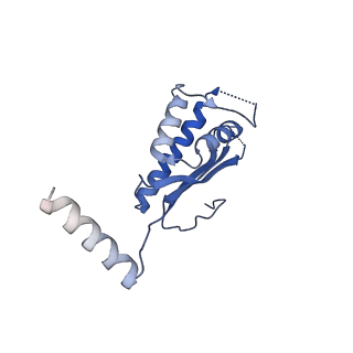 29254_8fkr_LA_v1-1
Human nucleolar pre-60S ribosomal subunit (State B1)