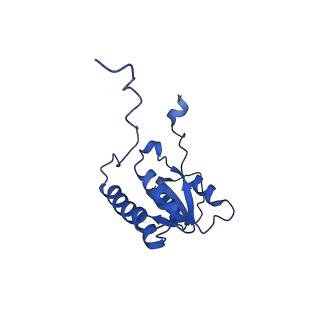 29254_8fkr_LB_v1-1
Human nucleolar pre-60S ribosomal subunit (State B1)