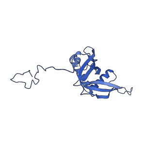 29254_8fkr_LC_v1-1
Human nucleolar pre-60S ribosomal subunit (State B1)