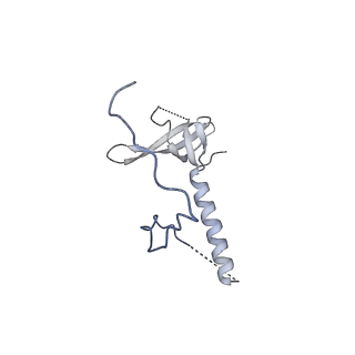 29254_8fkr_LE_v1-1
Human nucleolar pre-60S ribosomal subunit (State B1)