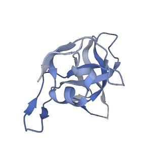 29254_8fkr_LG_v1-1
Human nucleolar pre-60S ribosomal subunit (State B1)