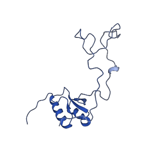 29254_8fkr_LQ_v1-1
Human nucleolar pre-60S ribosomal subunit (State B1)
