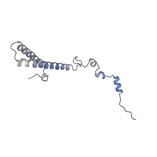 29254_8fkr_LS_v1-1
Human nucleolar pre-60S ribosomal subunit (State B1)
