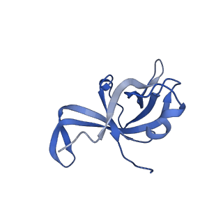 29254_8fkr_LT_v1-1
Human nucleolar pre-60S ribosomal subunit (State B1)