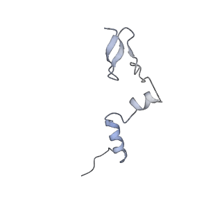 29254_8fkr_LW_v1-1
Human nucleolar pre-60S ribosomal subunit (State B1)