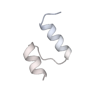 29254_8fkr_NB_v1-1
Human nucleolar pre-60S ribosomal subunit (State B1)