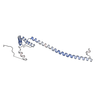 29254_8fkr_NE_v1-1
Human nucleolar pre-60S ribosomal subunit (State B1)
