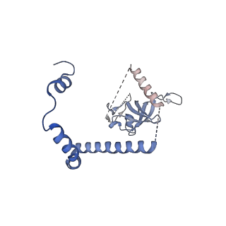 29254_8fkr_NF_v1-1
Human nucleolar pre-60S ribosomal subunit (State B1)