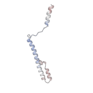 29254_8fkr_NG_v1-1
Human nucleolar pre-60S ribosomal subunit (State B1)
