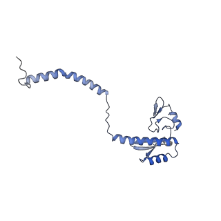 29254_8fkr_NM_v1-1
Human nucleolar pre-60S ribosomal subunit (State B1)