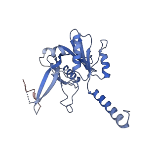 29254_8fkr_NN_v1-1
Human nucleolar pre-60S ribosomal subunit (State B1)