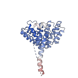 29254_8fkr_NO_v1-1
Human nucleolar pre-60S ribosomal subunit (State B1)