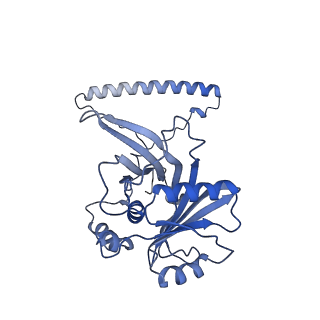 29254_8fkr_NS_v1-1
Human nucleolar pre-60S ribosomal subunit (State B1)