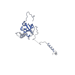 29254_8fkr_SC_v1-1
Human nucleolar pre-60S ribosomal subunit (State B1)