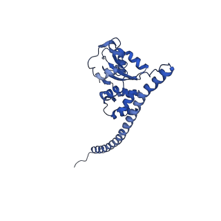 29254_8fkr_SD_v1-1
Human nucleolar pre-60S ribosomal subunit (State B1)