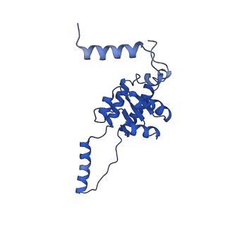 29254_8fkr_SE_v1-1
Human nucleolar pre-60S ribosomal subunit (State B1)