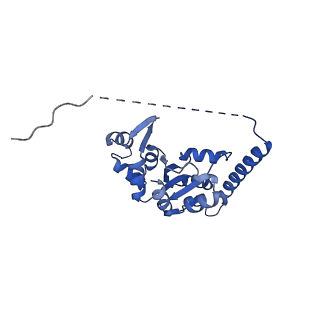 29254_8fkr_SI_v1-1
Human nucleolar pre-60S ribosomal subunit (State B1)