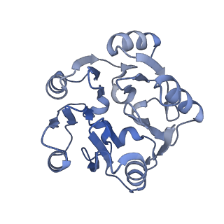 29254_8fkr_SK_v1-1
Human nucleolar pre-60S ribosomal subunit (State B1)