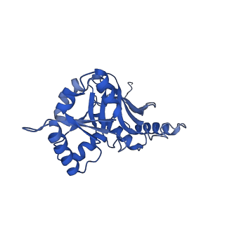 29254_8fkr_SL_v1-1
Human nucleolar pre-60S ribosomal subunit (State B1)
