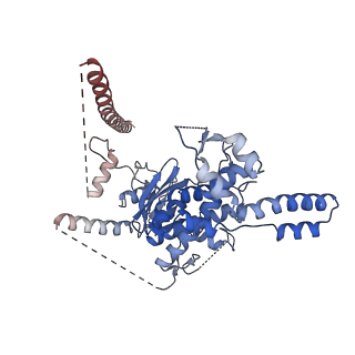 29254_8fkr_SM_v1-1
Human nucleolar pre-60S ribosomal subunit (State B1)
