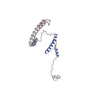 29254_8fkr_SN_v1-1
Human nucleolar pre-60S ribosomal subunit (State B1)